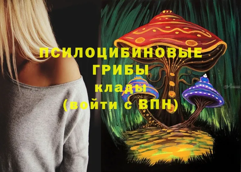 Галлюциногенные грибы MAGIC MUSHROOMS  где можно купить наркотик  Электрогорск 